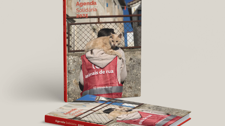 Apoiar a associação Animais de Rua