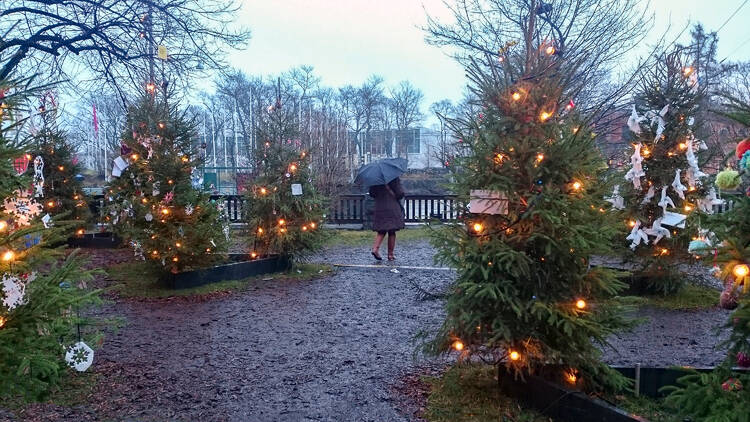 The Christmas weather forecast for Montreal - here's what to expect