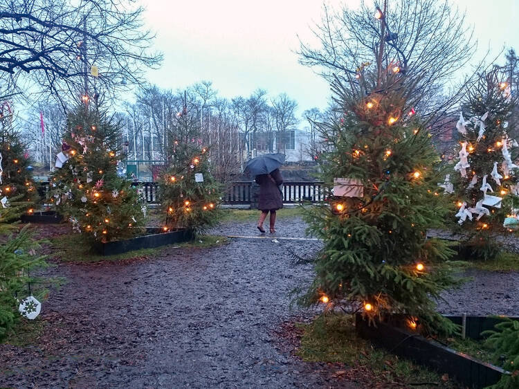 The Christmas weather forecast for Montreal - here's what to expect