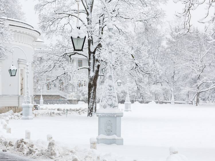 Up to 10 cm more snow on the way to Montreal starting this weekend