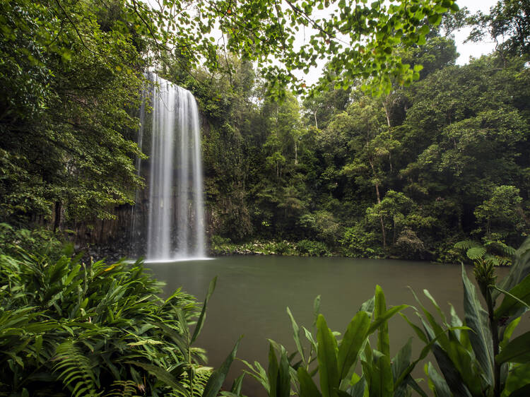 Millaa Milla Falls, QLD