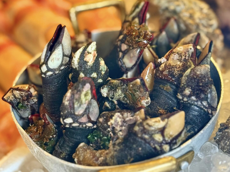 El mejor puerto de España: imprescindibles si quieres pescado y marisco