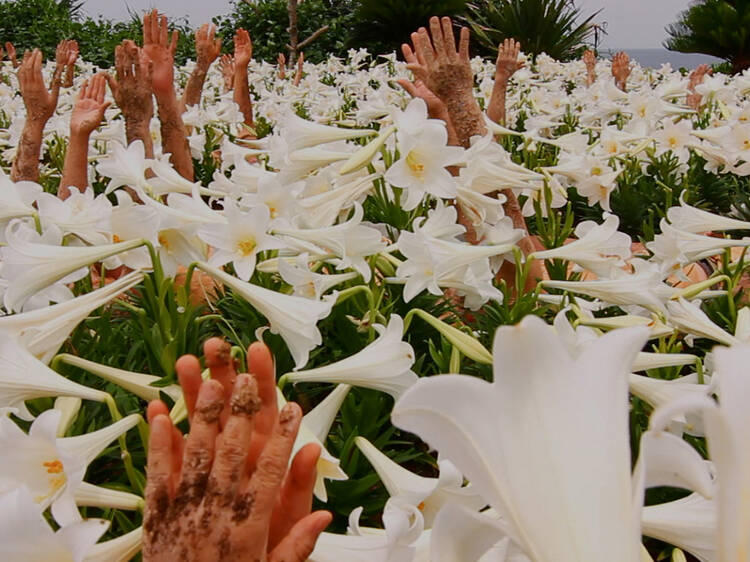 Song of the Land, de Chikako Yamashiro, no CAM