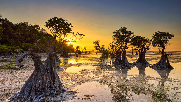 Walakiri Beach, Sumba island, Indonesia