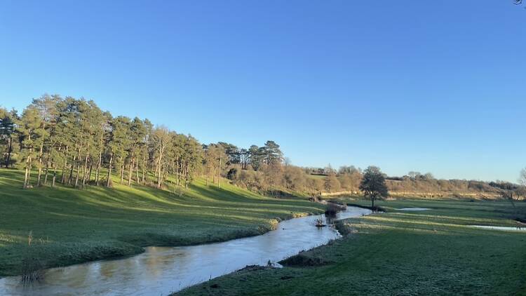 Sunny countryside