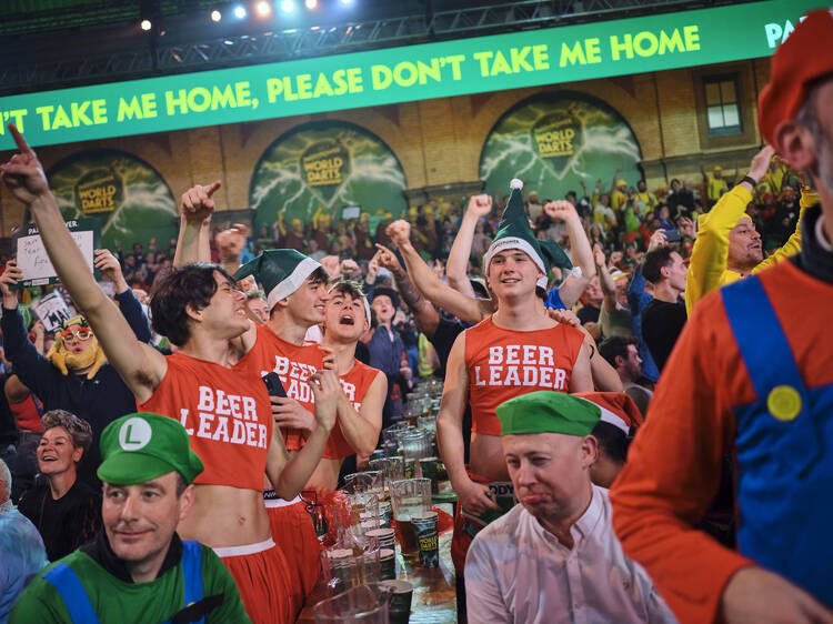 Darts fans at Ally Pally