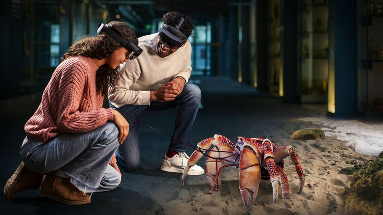 Lose yourself in Visions of Nature: A Mixed Reality Experience at the Natural History Museum