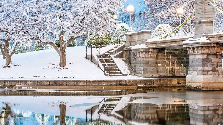 Reflect on the year ahead with a stroll in the park