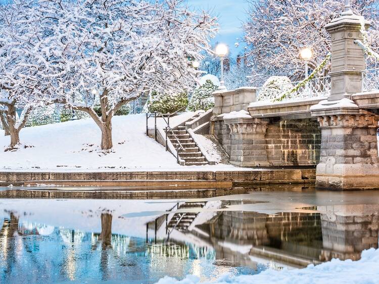 Reflect on the year ahead with a stroll in the park