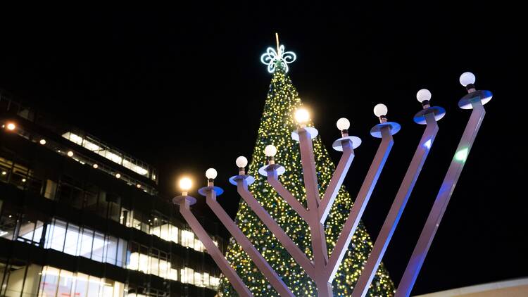 menorah SF