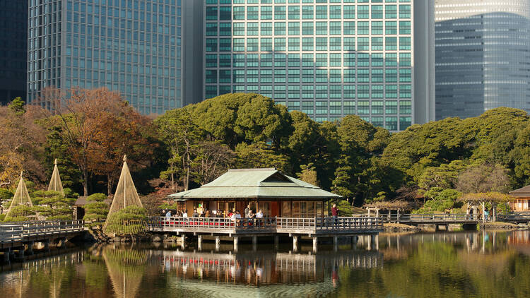 Hamarikyu Garden's New Year celebrations