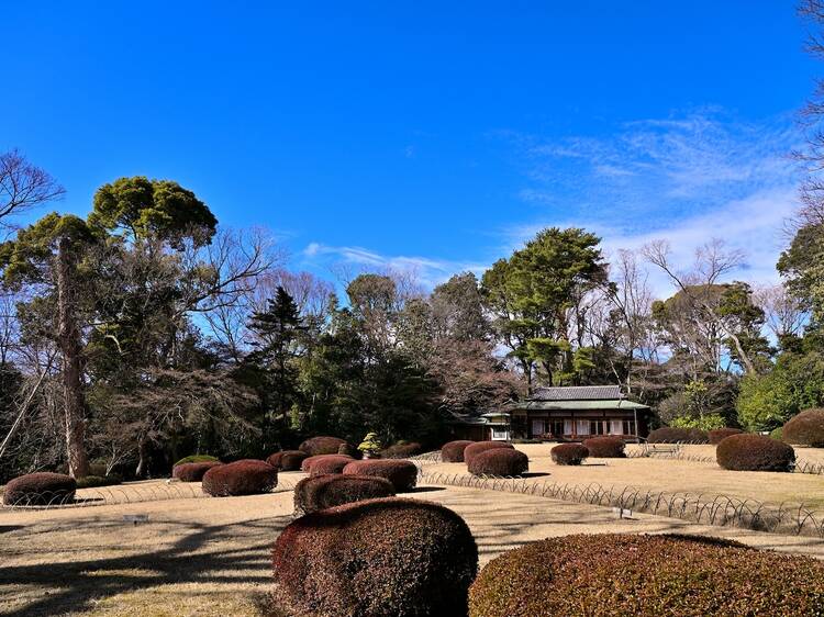 明治神宮御苑