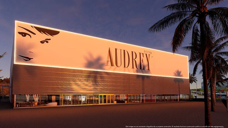 Teatro Audrey. Buscando a Audrey, el musical