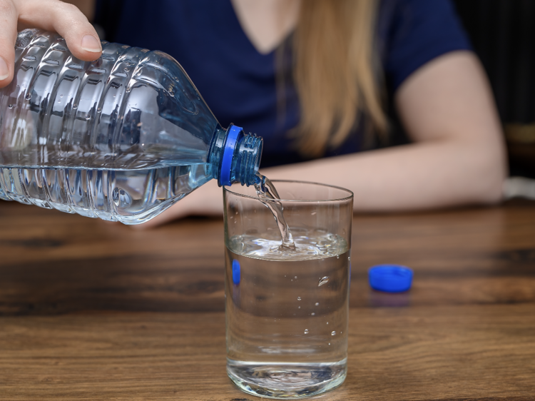 El agua no es solo para las ranas