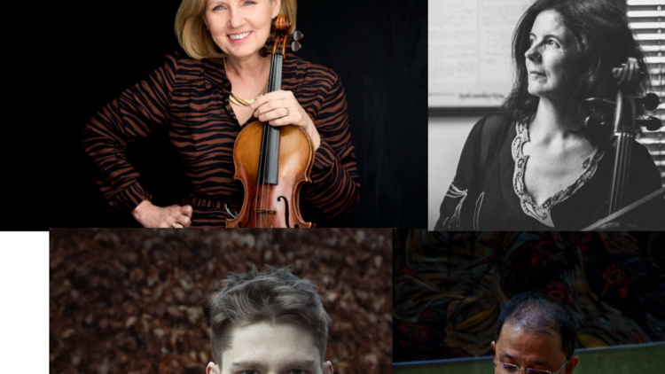 Pro Musica Chamber Music Festival