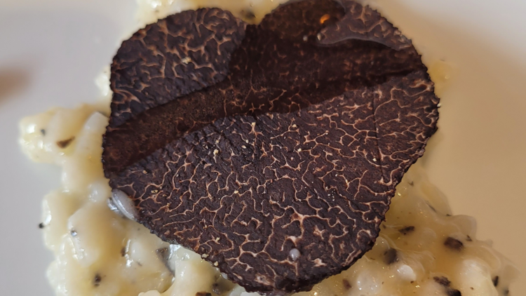 Risotto topped with a slice of black truffle