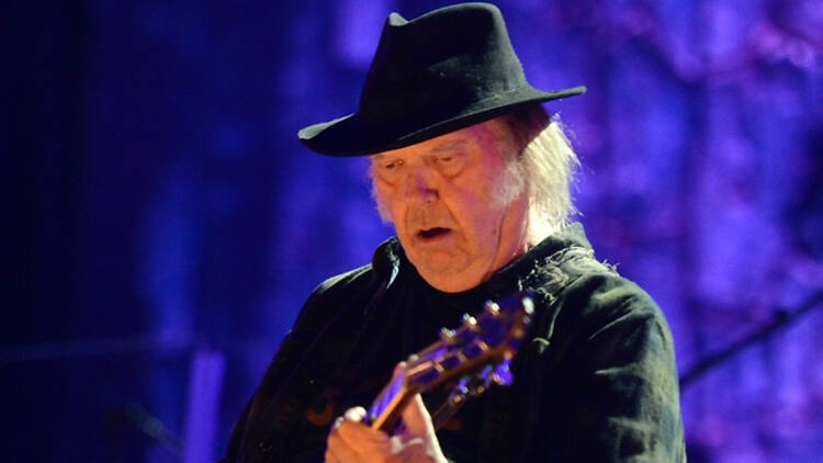 Neil Young performing live