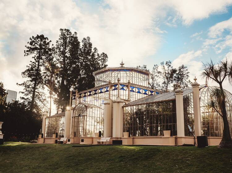 Stroll through Adelaide Botanic Garden