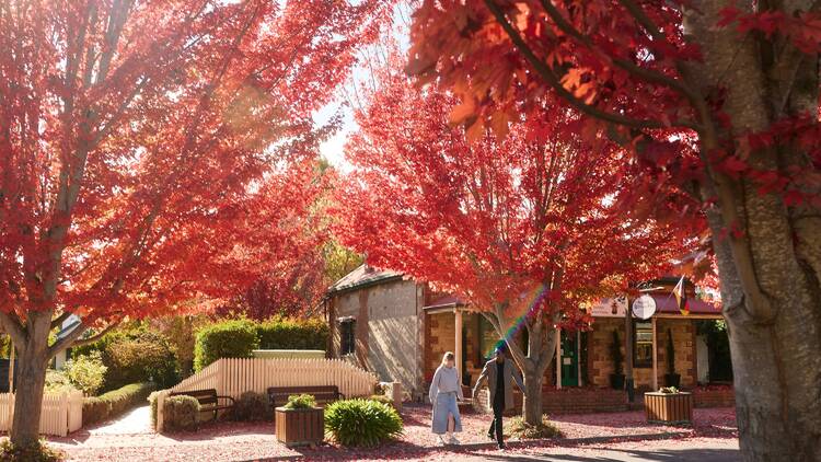 Spend the day in Hahndorf, Adelaide’s German village