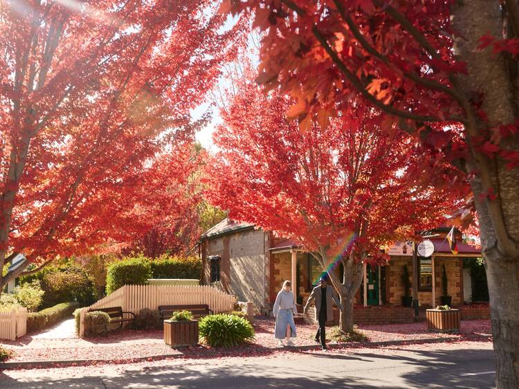 Spend the day in Hahndorf, Adelaide’s German village