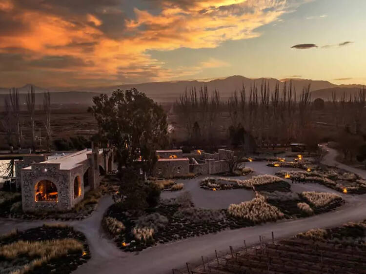 Angélica, el restaurante de Catena Zapata