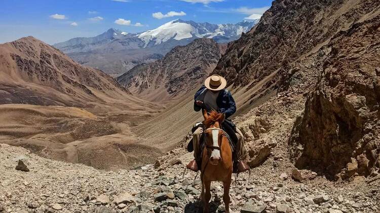 Manzano Adventure: Border Horseback Rides