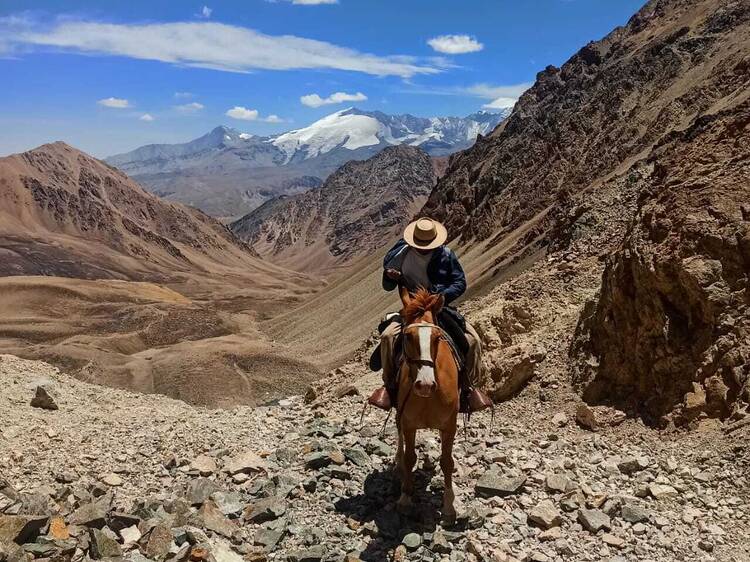 Manzano Adventure: Border Horseback Rides