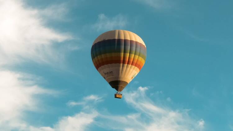 Mendoza Balloons: Hot Air Balloon Ride