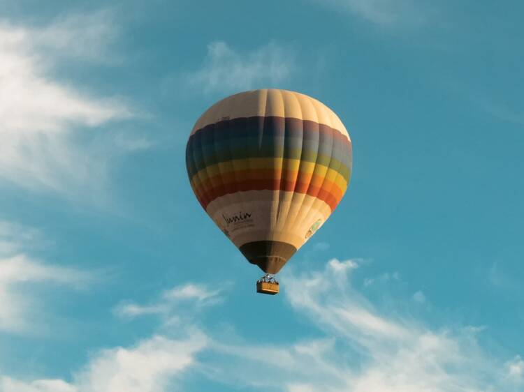 Mendoza Balloons: Hot Air Balloon Ride