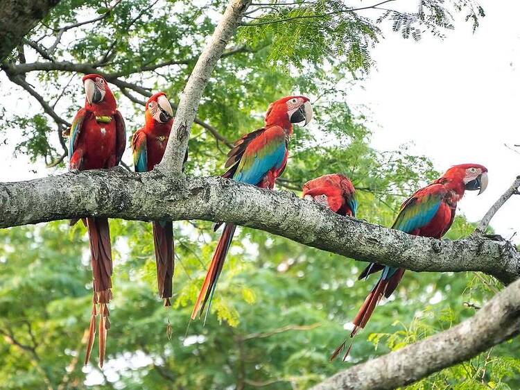 Guided Tour of the Ecopark