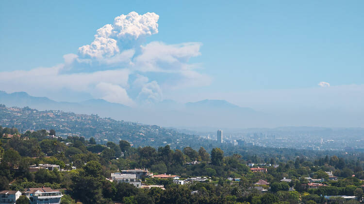 The Line and Bridge Fires in September 2024, as seen from the Getty