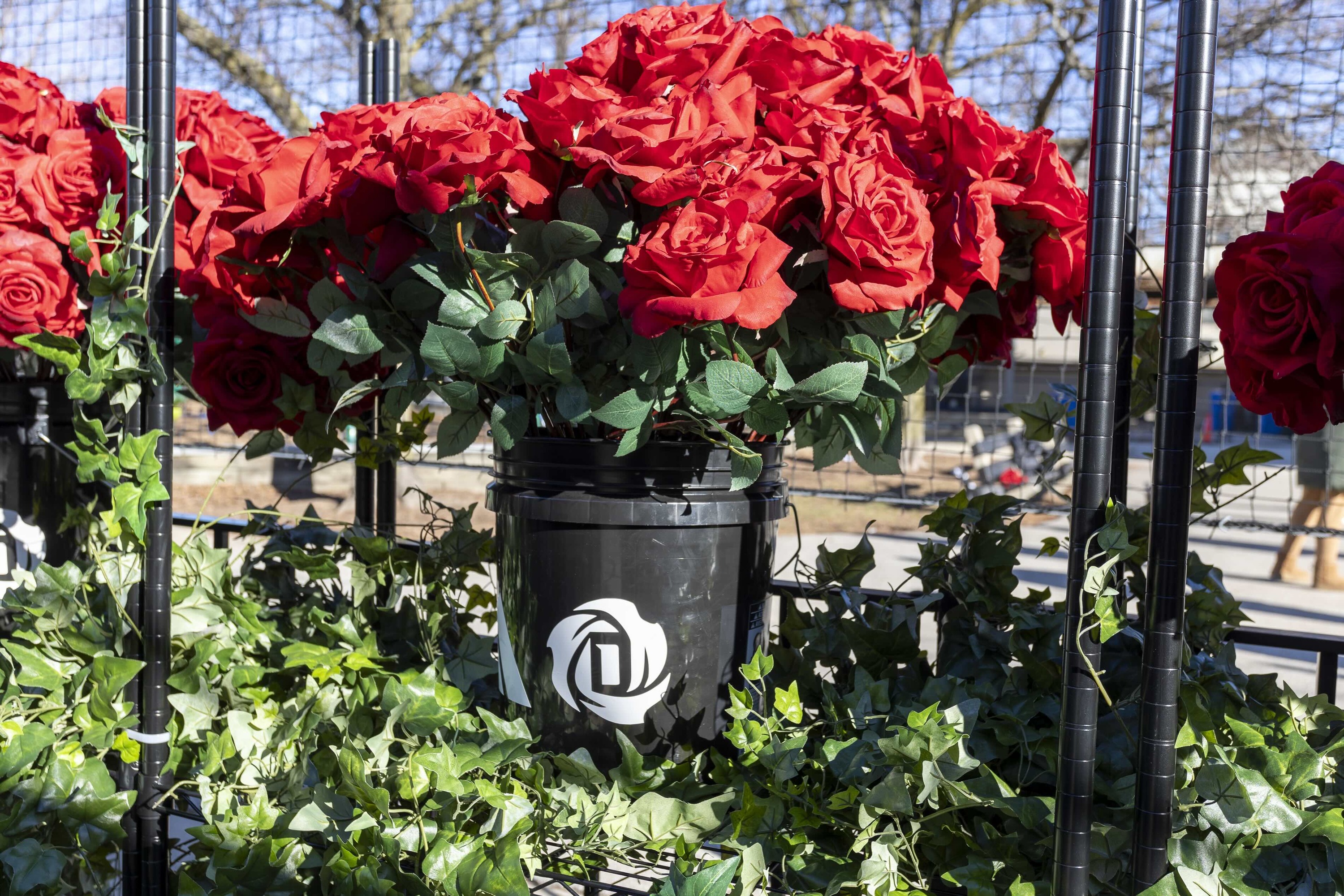 Derrick Rose’s Legacy Celebrated in Chicago
