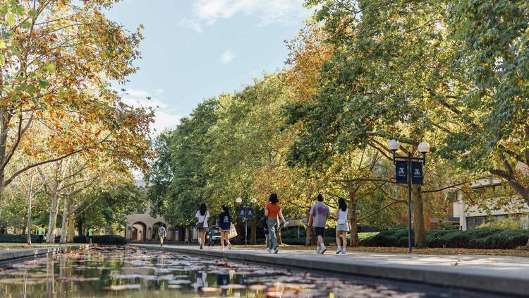 University students walking next to South Lawn Reflection Pond