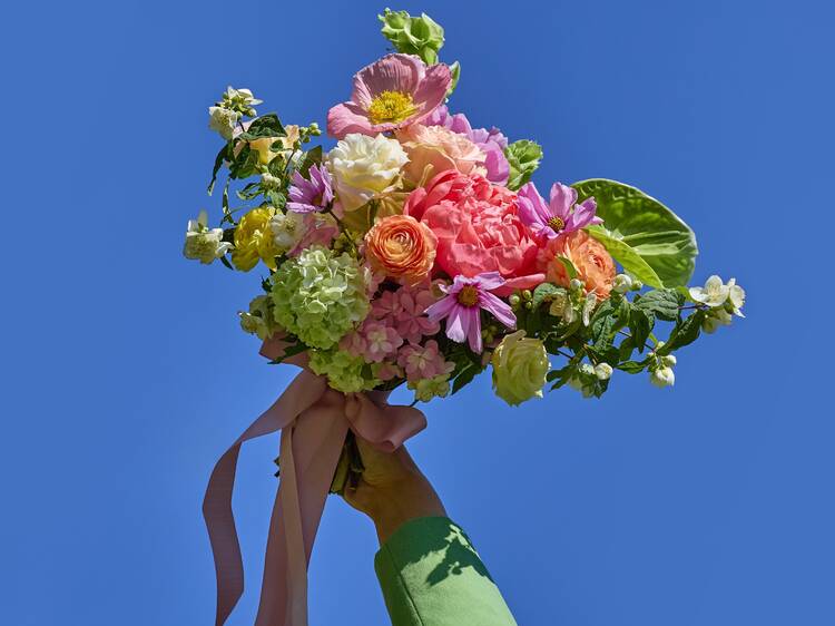 Bunch of flowers in sky