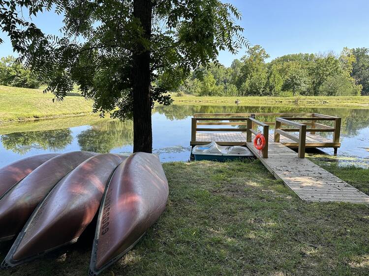 For forest dwellers: Middleburg, Virginia