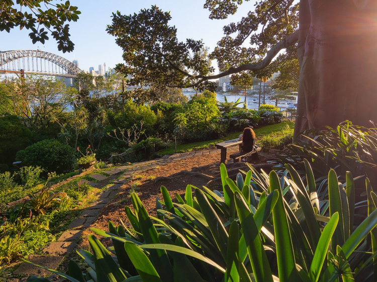 7 beautiful hidden places in Sydney that you probably don't know exist