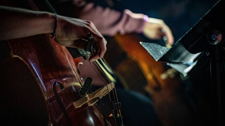 New Year Celebration Orchestra Concert