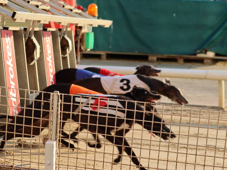 Southeast London’s historic Crayford greyhound racetrack has closed for good