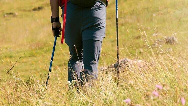 A hiker walking on a grassy field