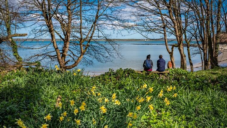 Penrhos Nature Reserve, Anglesey, Wales