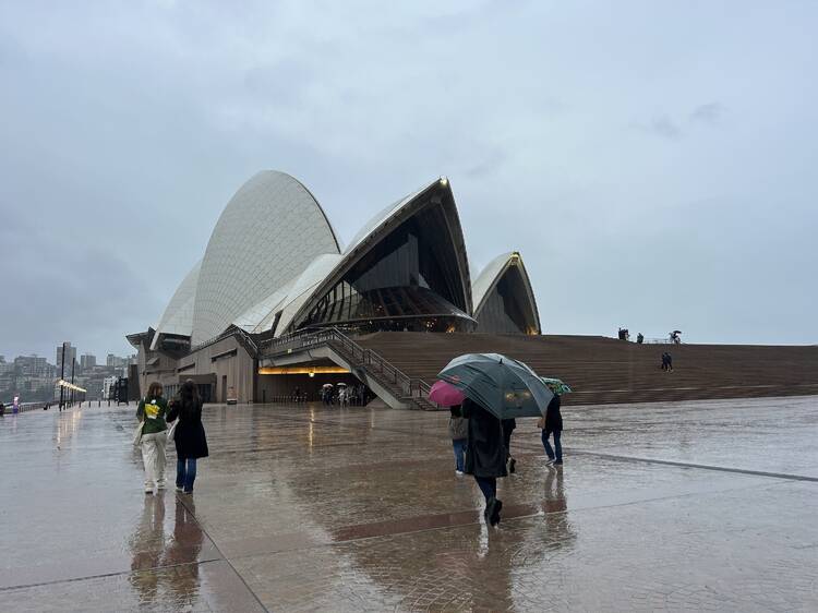 sydney in the rain