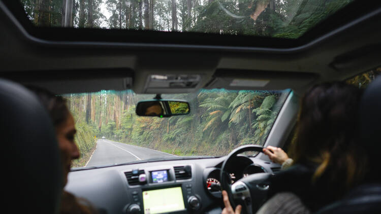 Two people inside a car driving along a forest road. 