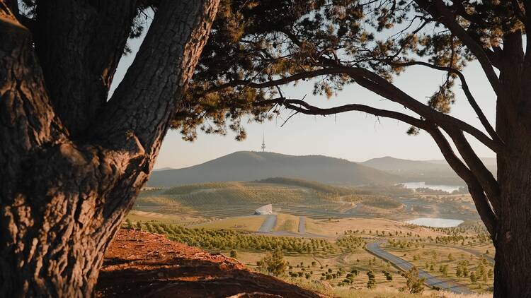 Have a picnic at the National Arboretum