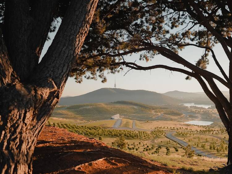 Have a picnic at the National Arboretum Canberra