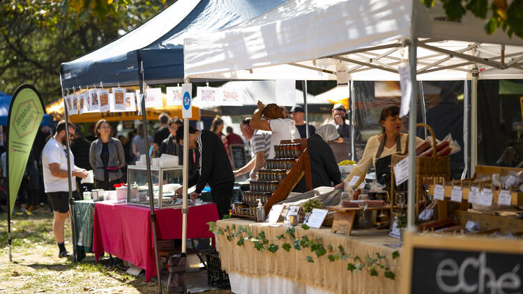 Hit up the Haig Park Village Market