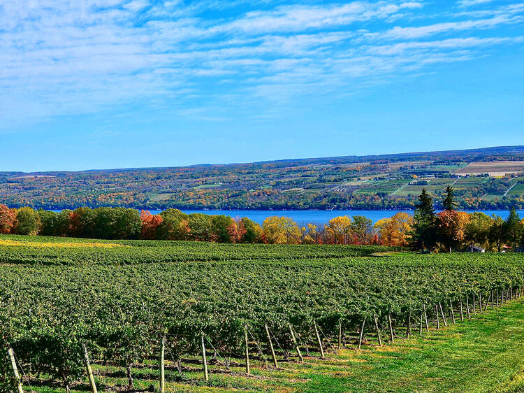 Seneca Lake Wine Trail