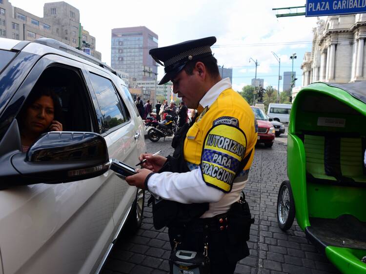 Pagar multas de tránsito paseando perros del Sistema de Transferencia Canina del Metro en CDMX