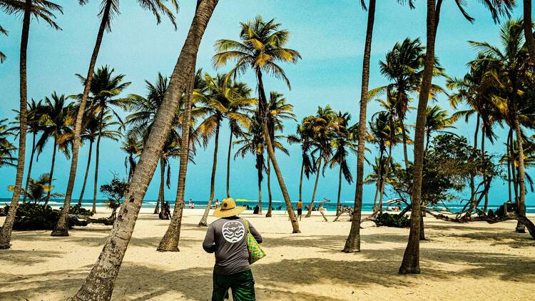 Man standing on sandy beach under palm trees