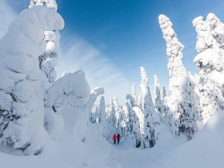 Go for a winter hike near Montreal that will take your breath away