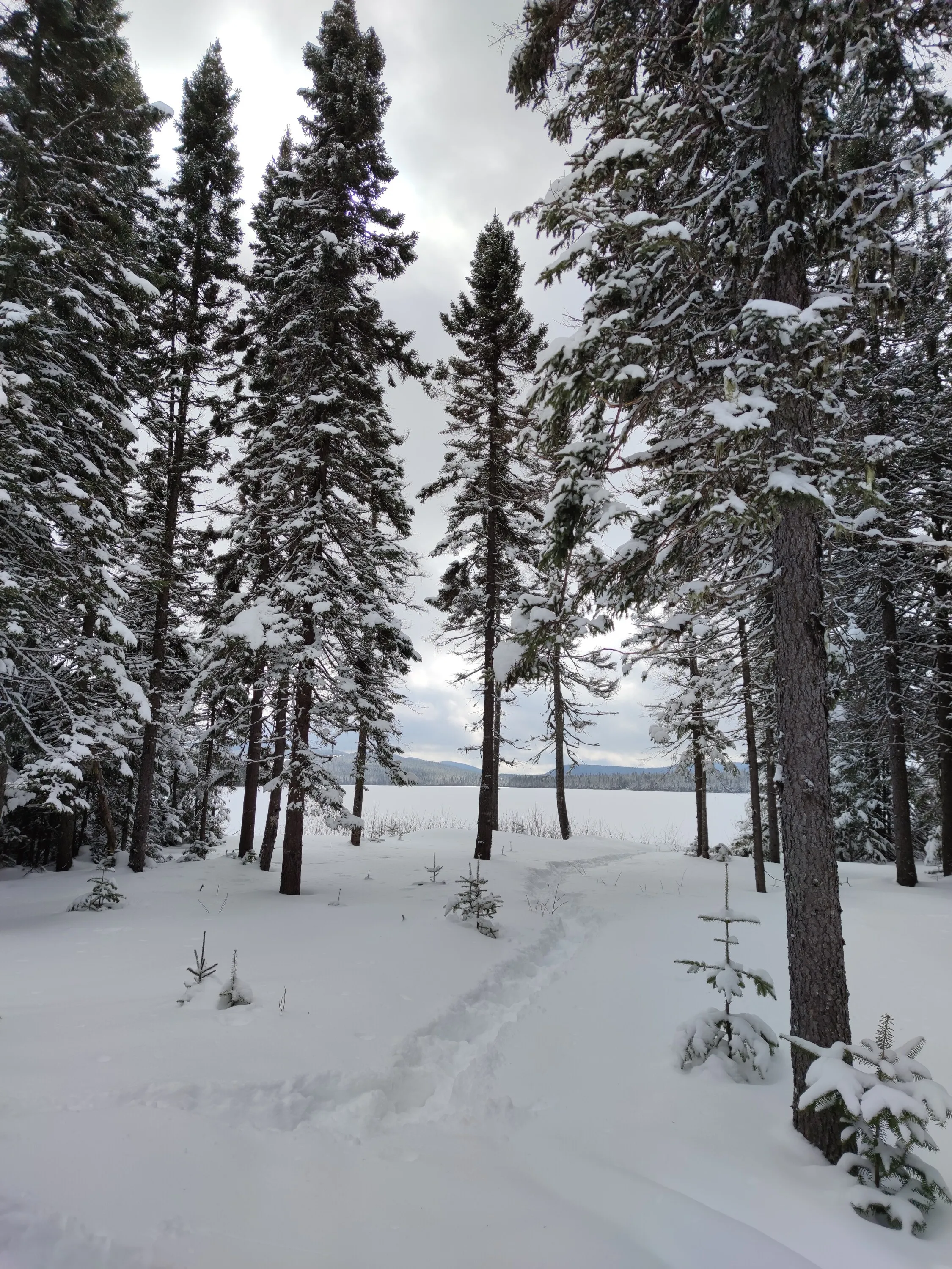 Camp Mercier